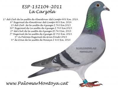 Palomar Montoya