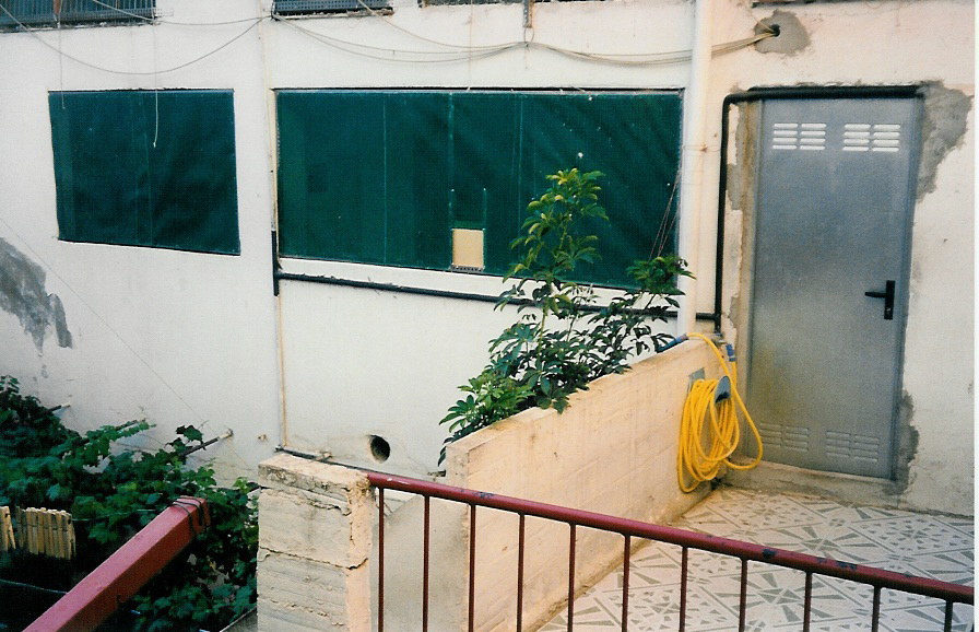 Palomar Montoya